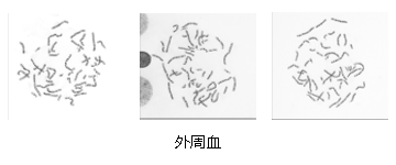 未標題-1.png