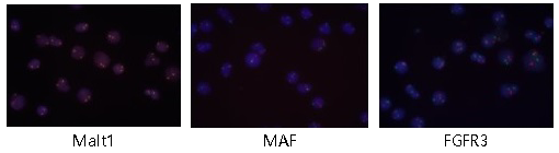 未標題-3.png